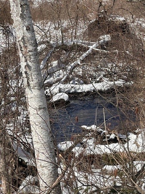 1st image of 0 Northern Shores Way