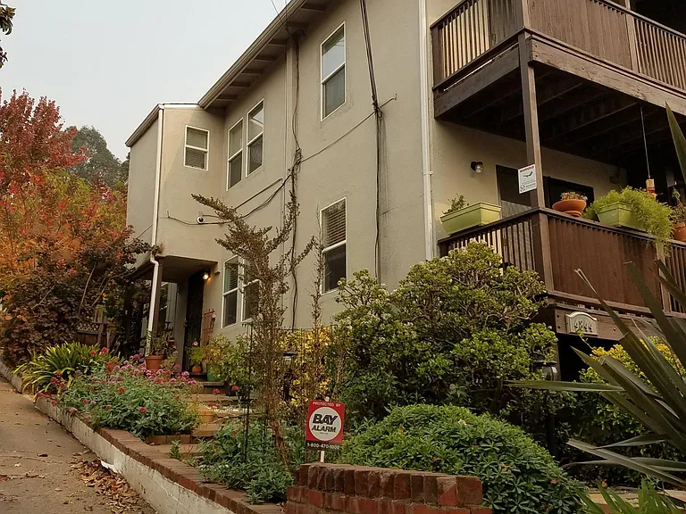 Daisy St — Photo 1