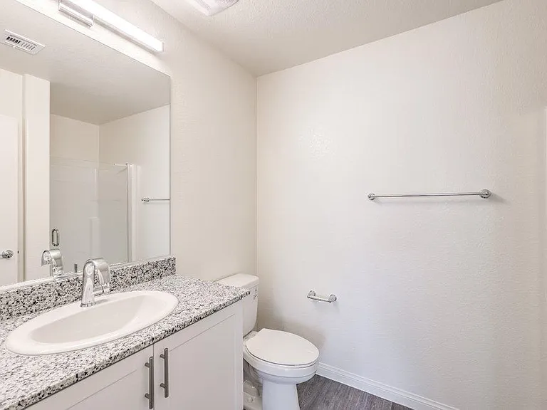 2666 Champagne Gold Ave — Photo 14