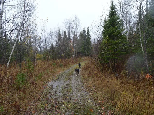 W15598 Hiawatha Trl, Gould City, MI 49838