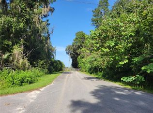 SE 151st St LOT 1, Summerfield, FL 34491