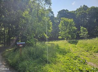 166 Dyer Rd, Roan Mountain, TN 37687