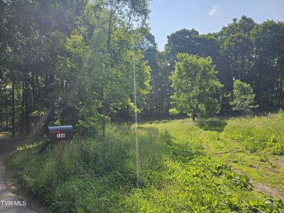 166 Dyer Rd, Roan Mountain, TN, 37687
