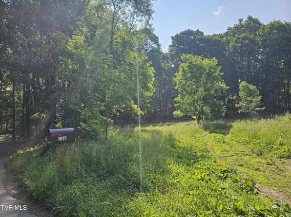 166 Dyer Rd, Roan Mountain, TN 37687
