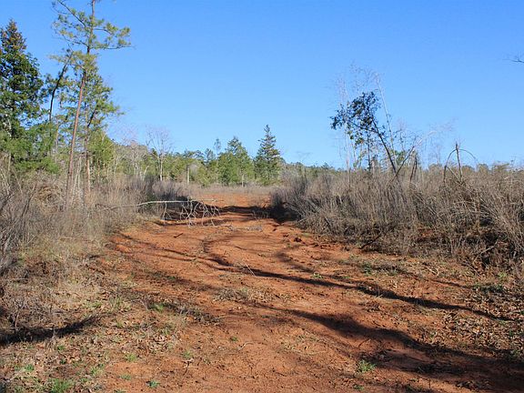 3rd image of County Road 1627