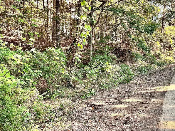 0 Snow Lake Dr Lot 378, Ashland, MS 38603