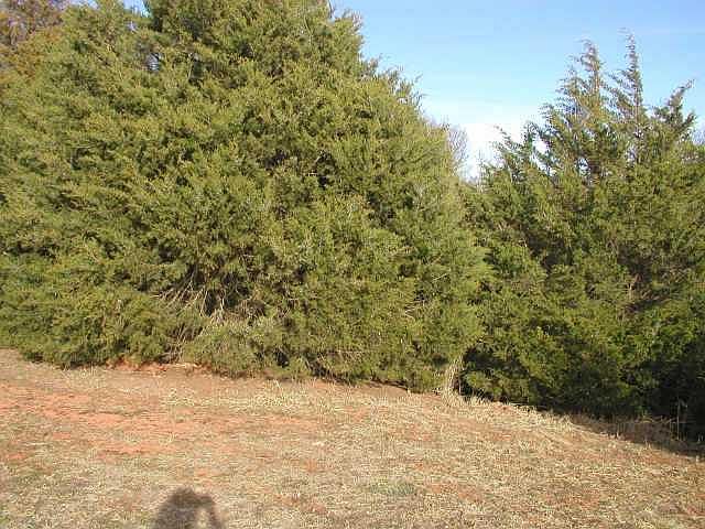 2nd image of LOT 6 W Mission Springs Dr Lot 6