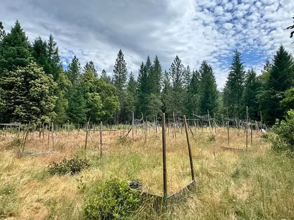 3.2 Miles Out China Grade Rd, Happy Camp, CA 96039