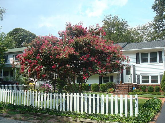 2nd image of 968 Dogwood Tree Dr