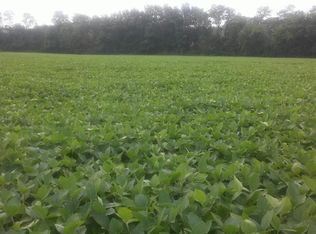 8665 S State Route 48, Maineville, OH 45039