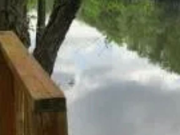 5th image of 1327 Point Caswell Rd