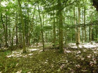 Indian Springs Rd, Chestertown, NY 12817