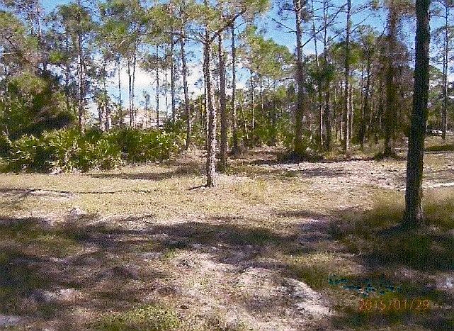 1st image of 24067 Red Robin Dr