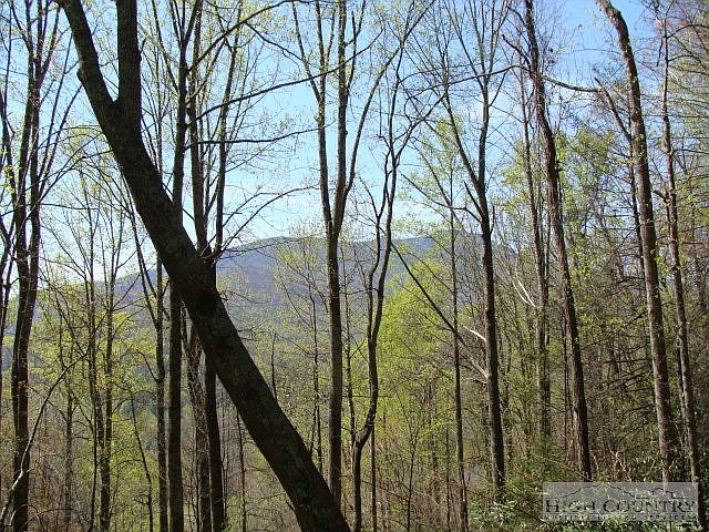 1st image of Tbd Shadow Mountain Lane