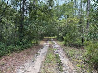 288 Rattler Run, Hortense, GA 31543