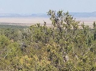 56710 N Shadow Mountain Pkwy, Seligman, AZ 86337