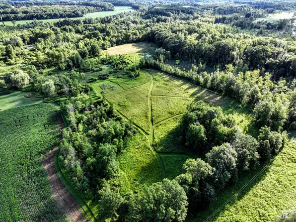 29 Mile Rd, Albion, MI 49224