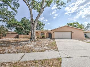 3726 Greenford St, Valrico, FL 33596