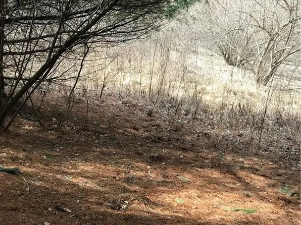 TBD Deer Path Road, Crumpler, NC 28617