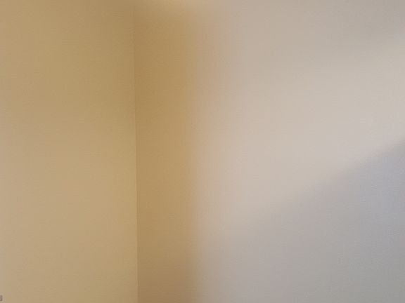 Ceiling fan in Dining room