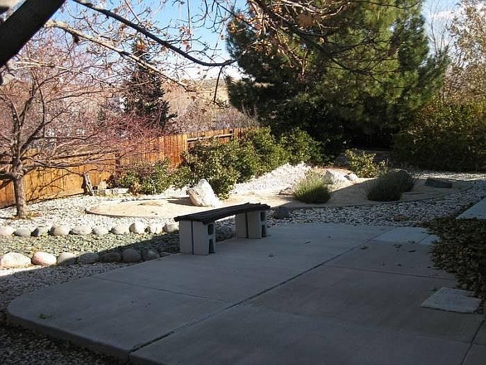 back yard1