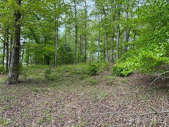 2nd image of 385 Iris Ln