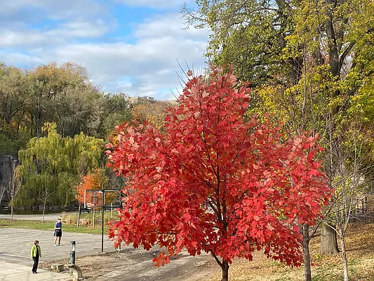 Sold by Corcoran | media 13