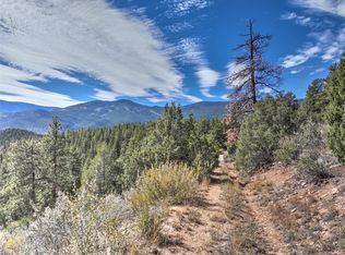 1913 S Ridge Rd, Bailey, CO 80421