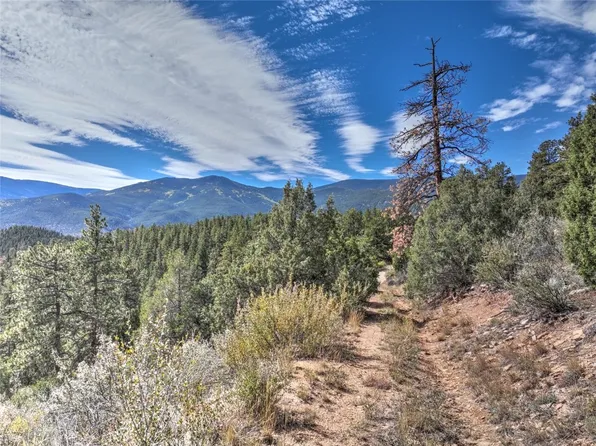1913 S Ridge Road, Bailey, CO 80421