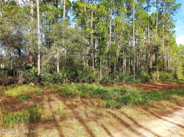 160 EDGEMERE Drive, Georgetown, FL 32139