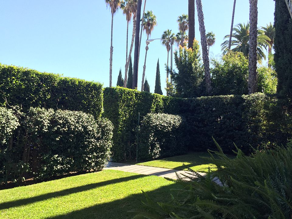Front lawn