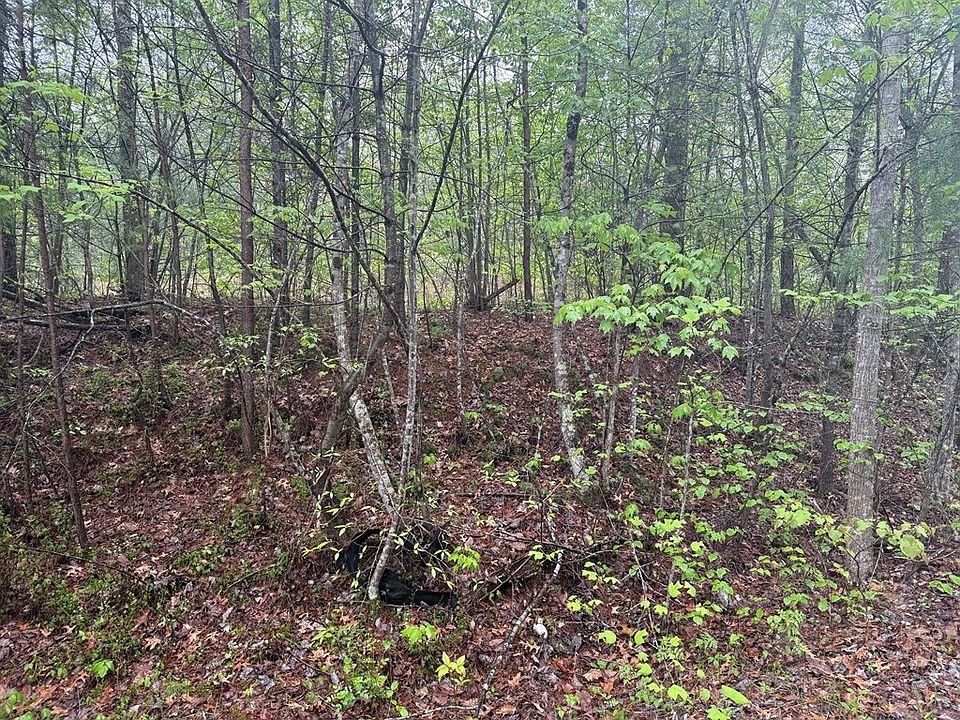 2nd image of 0 Muddy Branch Rd