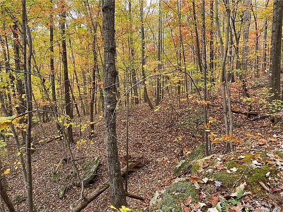 2nd image of 0 Grey Rock Pkwy #37/38