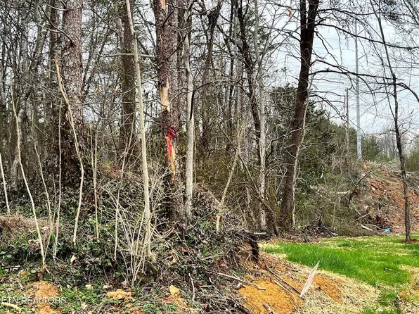 Toomey Ln, Madisonville, TN 37354