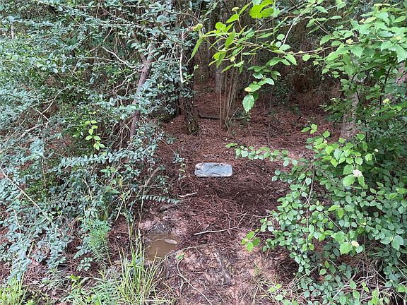 5th image of 281 County Road 2316
