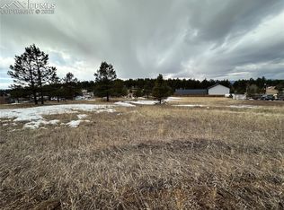 469 Rhyolite Ln, Florissant, CO 80816