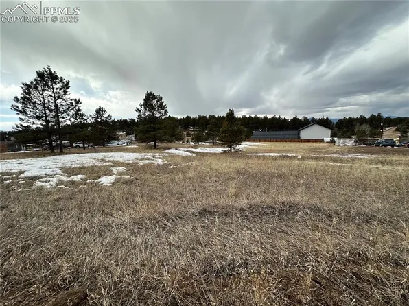 469 Rhyolite Ln, Florissant, CO 80816