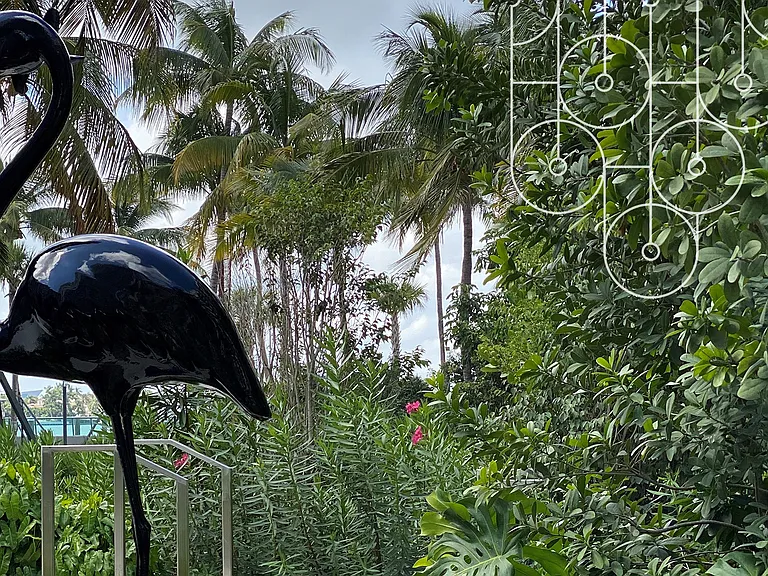 Flamingo Point is a lush tropical landscape.