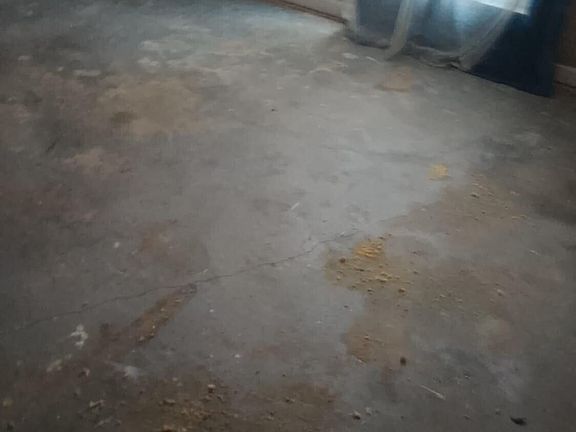 4th image of 4407 Hatteras Drive