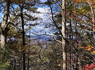 LOT 96 Buck Mountain Rd LOT 96, Purlear, NC 28665