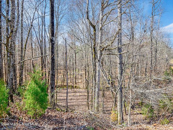 4th image of 357 Walkabout Ranch Rd