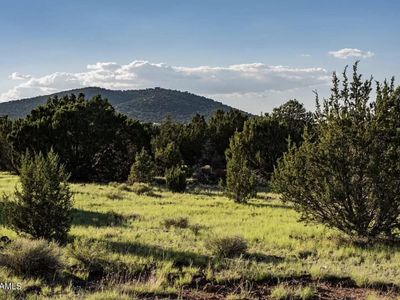 216 E Orchid Dr, Williams, AZ, 86046