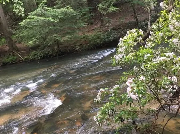 (undisclosed Address), Dahlonega, GA 30533