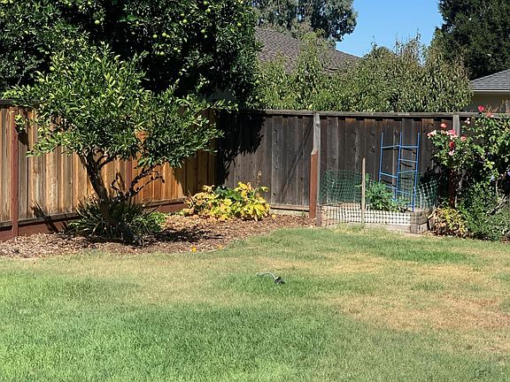 Private backyard with large shed and plenty of room to entertain and garden