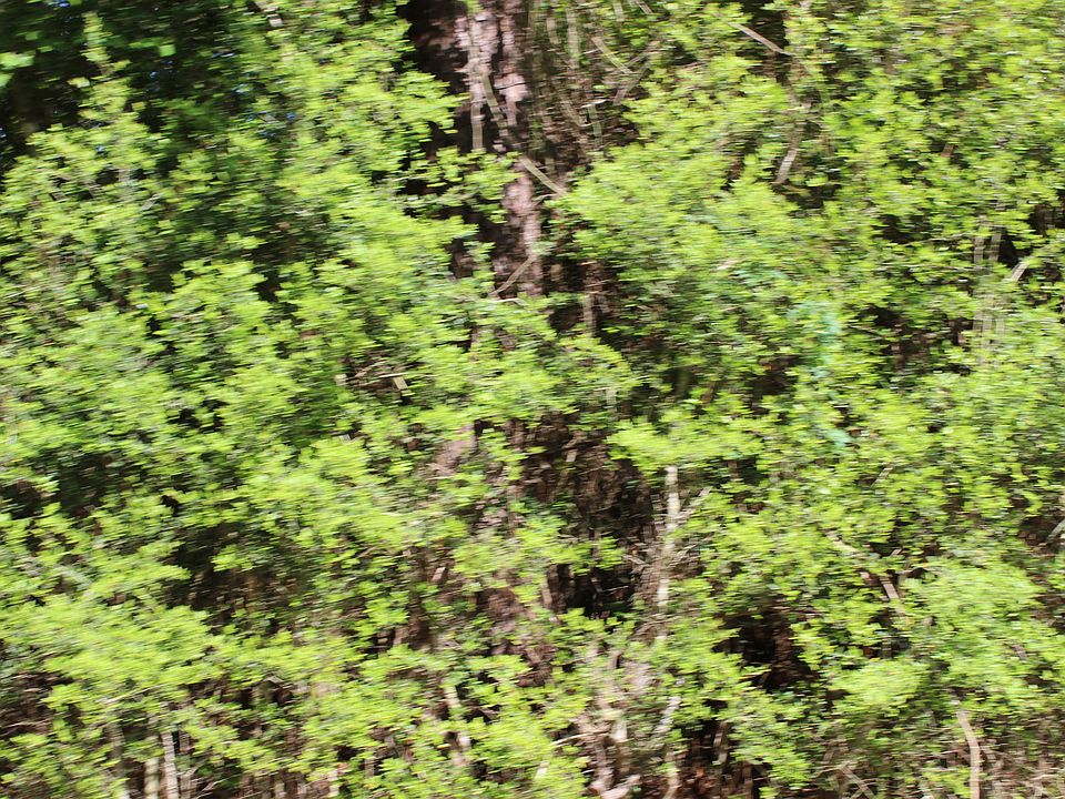 2nd image of Highway 1085