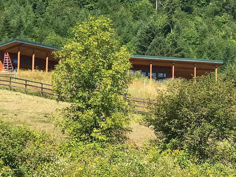 Back of house