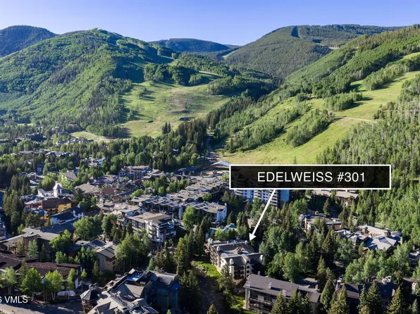 103 Willow Pl APT 301, Vail, CO 81657