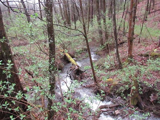 2nd image of Tripp Hill Rd