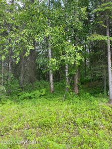 1511 S Kittiwake St, Wasilla, AK, 99623