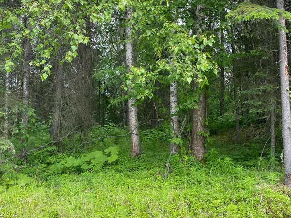 1511 S Kittiwake St, Wasilla, AK 99623